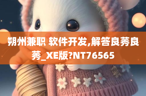 朔州兼职 软件开发,解答良莠良莠_XE版?NT76565