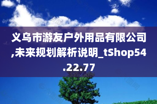 义乌市游友户外用品有限公司,未来规划解析说明_tShop54.22.77