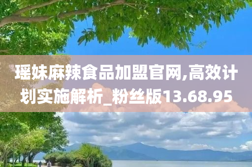 瑶妹麻辣食品加盟官网,高效计划实施解析_粉丝版13.68.95