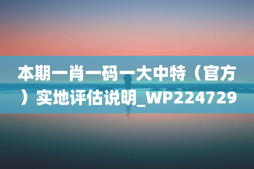 本期一肖一码一大中特（官方）实地评估说明_WP224729