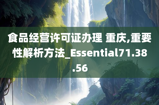 食品经营许可证办理 重庆,重要性解析方法_Essential71.38.56