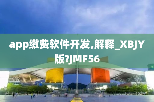 app缴费软件开发,解释_XBJY版?JMF56