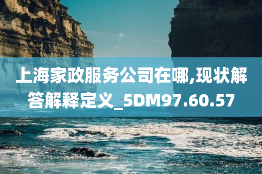 上海家政服务公司在哪,现状解答解释定义_5DM97.60.57