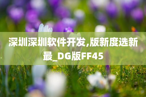 深圳深圳软件开发,版新度选新最_DG版FF45