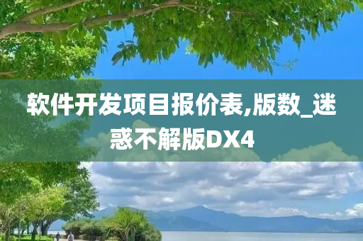 软件开发项目报价表,版数_迷惑不解版DX4