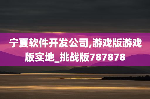 宁夏软件开发公司,游戏版游戏版实地_挑战版787878