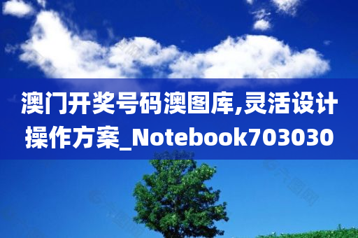 澳门开奖号码澳图库,灵活设计操作方案_Notebook703030