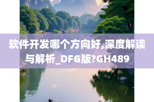 软件开发哪个方向好,深度解读与解析_DFG版?GH489