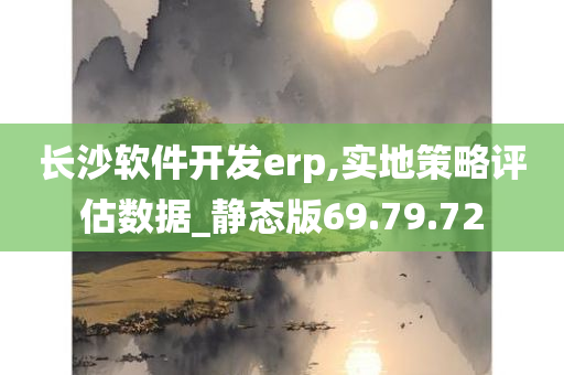 长沙软件开发erp,实地策略评估数据_静态版69.79.72