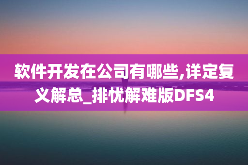 软件开发在公司有哪些,详定复义解总_排忧解难版DFS4