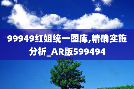 99949红姐统一图库,精确实施分析_AR版599494