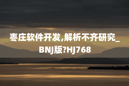 枣庄软件开发,解析不齐研究_BNJ版?HJ768