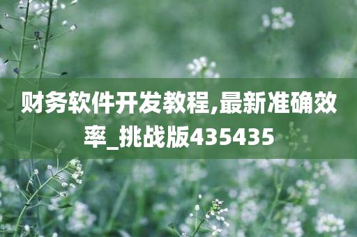 财务软件开发教程,最新准确效率_挑战版435435