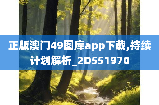 正版澳门49图库app下载,持续计划解析_2D551970