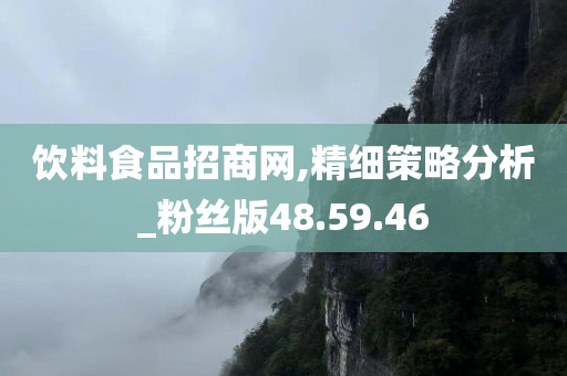 饮料食品招商网,精细策略分析_粉丝版48.59.46