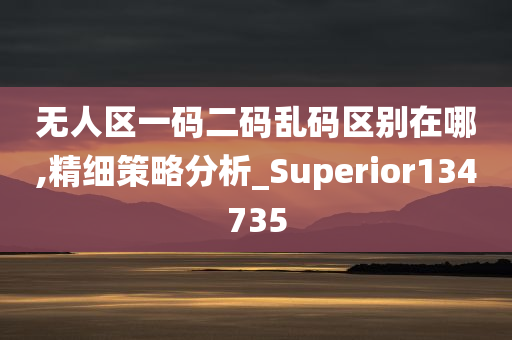 无人区一码二码乱码区别在哪,精细策略分析_Superior134735