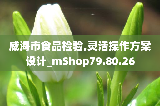 威海市食品检验,灵活操作方案设计_mShop79.80.26