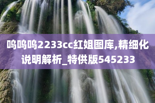 呜呜呜2233cc红姐图库,精细化说明解析_特供版545233