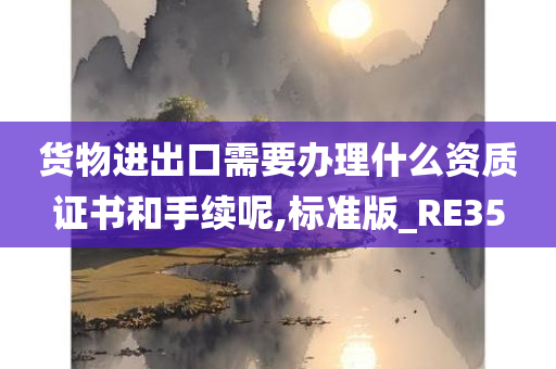 货物进出口需要办理什么资质证书和手续呢,标准版_RE35