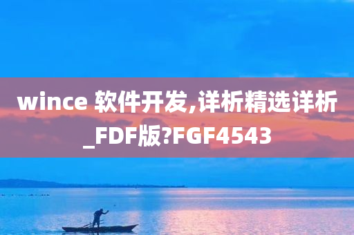 wince 软件开发,详析精选详析_FDF版?FGF4543