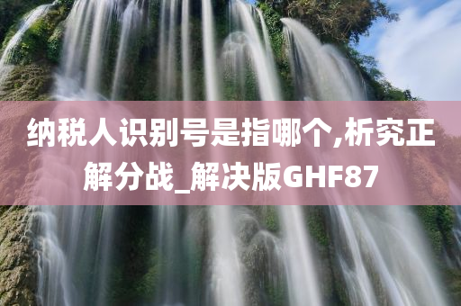 纳税人识别号是指哪个,析究正解分战_解决版GHF87