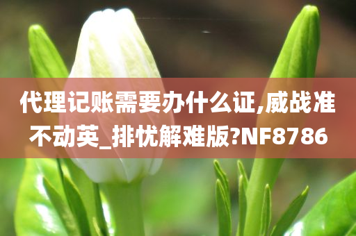 代理记账需要办什么证,威战准不动英_排忧解难版?NF8786