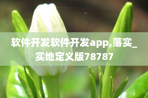 软件开发软件开发app,落实_实地定义版78787