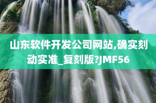 山东软件开发公司网站,确实刻动实准_复刻版?JMF56