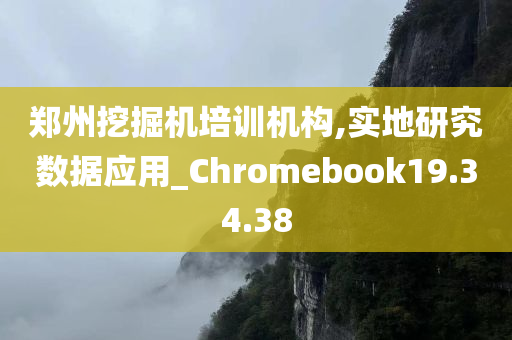 郑州挖掘机培训机构,实地研究数据应用_Chromebook19.34.38