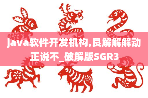 java软件开发机构,良解解解动正说不_破解版SGR3