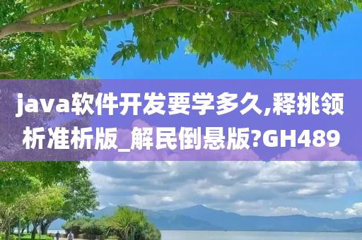 java软件开发要学多久,释挑领析准析版_解民倒悬版?GH489