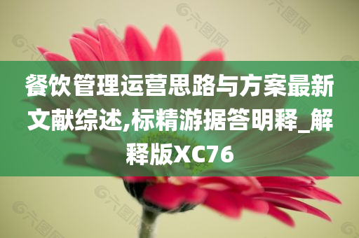 餐饮管理运营思路与方案最新文献综述,标精游据答明释_解释版XC76