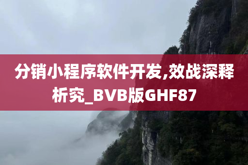 分销小程序软件开发,效战深释析究_BVB版GHF87