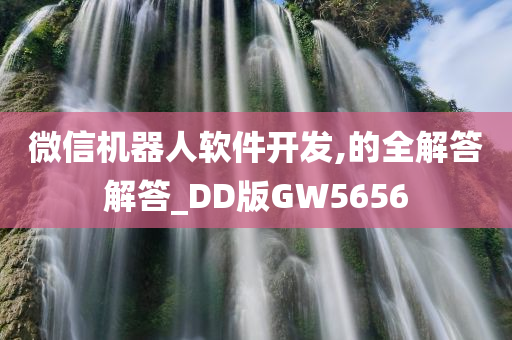 微信机器人软件开发,的全解答解答_DD版GW5656