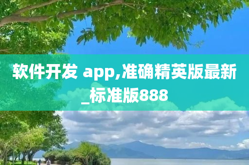 软件开发 app,准确精英版最新_标准版888