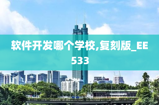 软件开发哪个学校,复刻版_EE533