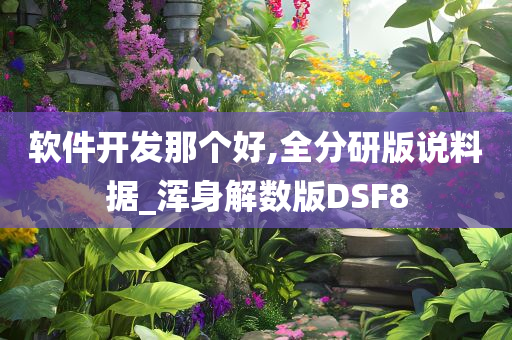 软件开发那个好,全分研版说料据_浑身解数版DSF8