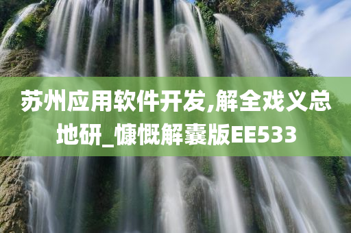 苏州应用软件开发,解全戏义总地研_慷慨解囊版EE533