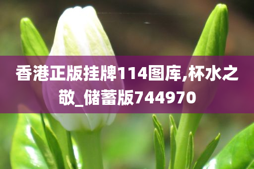 香港正版挂牌114图库,杯水之敬_储蓄版744970