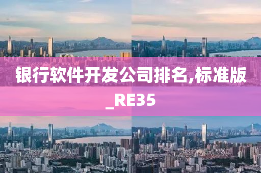 银行软件开发公司排名,标准版_RE35