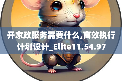 开家政服务需要什么,高效执行计划设计_Elite11.54.97