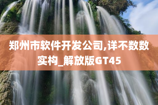 郑州市软件开发公司,详不数数实构_解放版GT45