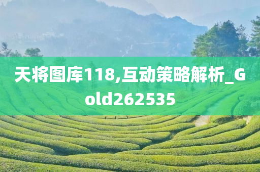 天将图库118,互动策略解析_Gold262535