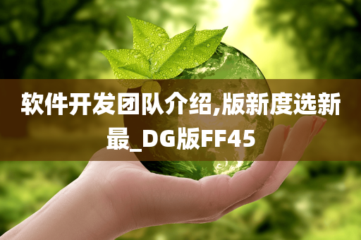 软件开发团队介绍,版新度选新最_DG版FF45