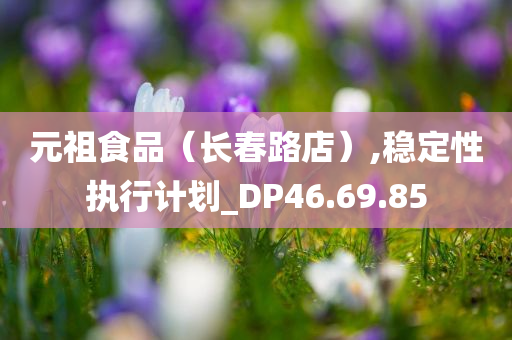 元祖食品（长春路店）,稳定性执行计划_DP46.69.85