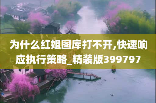 为什么红姐图库打不开,快速响应执行策略_精装版399797