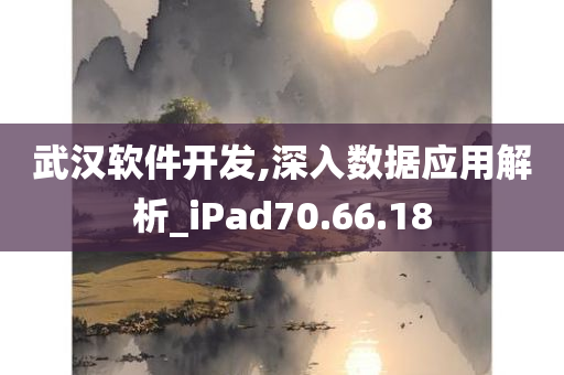 武汉软件开发,深入数据应用解析_iPad70.66.18