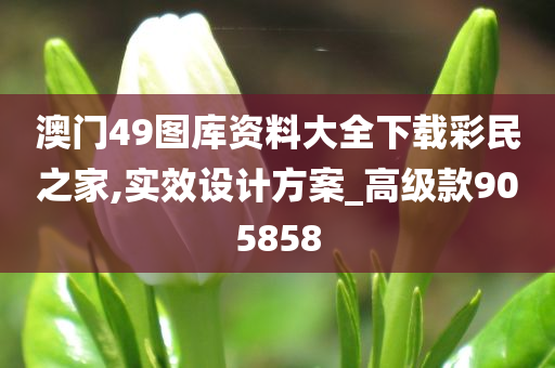 澳门49图库资料大全下载彩民之家,实效设计方案_高级款905858