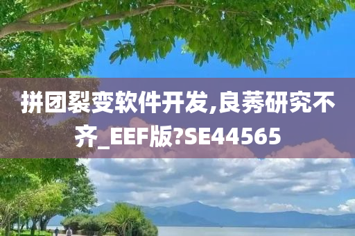 拼团裂变软件开发,良莠研究不齐_EEF版?SE44565