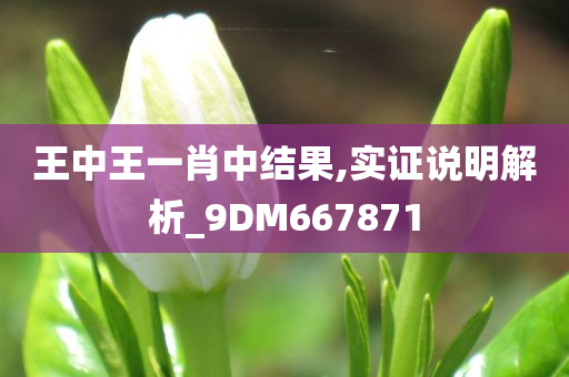 王中王一肖中结果,实证说明解析_9DM667871